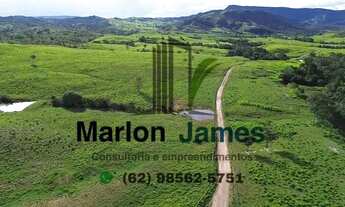 Imagem: FAZENDA EM NIQUELÂNDIA-GO VENDA!