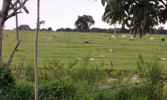 Imagem 3: Vende-se uma excelente chácara de 6 alqueires