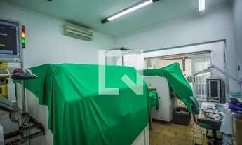 Imagem 6: Casa para Aluguel - Jabaquara, 2 Quartos, 310 m2