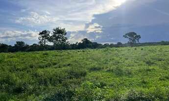 Imagem 5: Fazenda em Figueirópolis. Com dívida