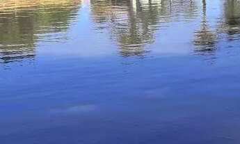 Imagem 7: À venda ! Pesqueiro - 30.000m² - Oportunidade de Investimento !