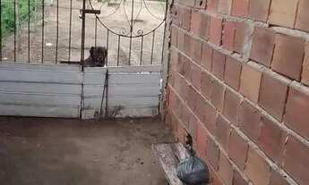 Imagem: Casa na asa branca