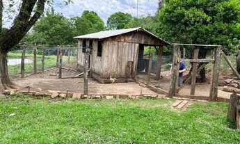 Imagem 5: Chácara 14 hectares, potreiro, roças, frutíferas,3 açudes