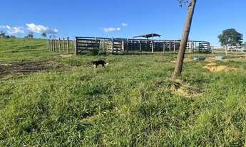 Imagem 3: Fazenda 29 alqueires São miguel passa 4 e vianopolis