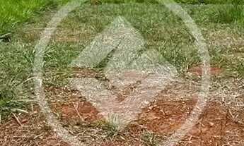 Imagem: VENDO LOTE EM CONDOMÍNIO FECHADO ROSA DE