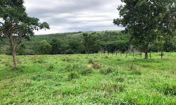 Imagem 2: Fazenda à venda 240 alqueires em Marzagão-Go