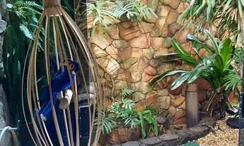 Imagem 7: KITNET FUNCIONAL COM LAVANDERIA