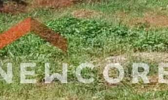 Imagem 4: Lote em Rua Renan de Oliveira Campos - Jardim Residencial San Martinho - Pirassununga/SP