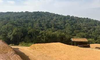 Imagem 2: Lote plano perto da rota do vinho