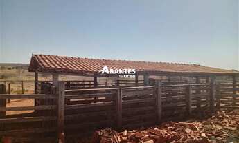 Imagem 3: Fazenda com 532,0463 ha à venda em Varzelândia