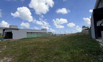 Imagem 4: Terreno cidade alpha