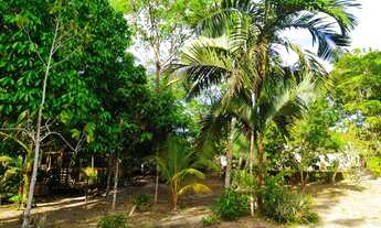 Imagem 2: Sítio para venda ou troca