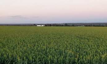 Imagem 2: Fazenda para Venda em Centro Unaí-MG