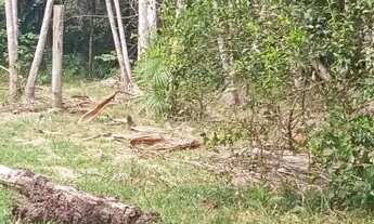 Imagem 3: Sítio no Ramal do Piauí