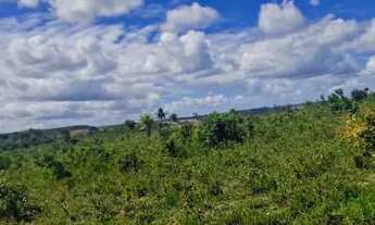 Imagem 4: Terreno para Venda em Alagoinhas, Centro