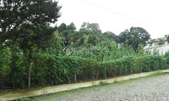 Imagem 7: Terreno no bairro Cinqüentenário