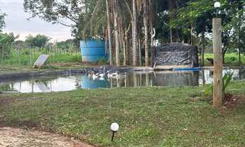 Imagem 4: Sítio - oportunidade- Área para plantio horta ou pasto