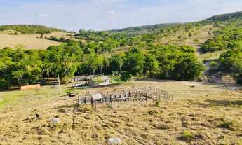 Imagem: Fazenda 29 alqueires São miguel passa 4