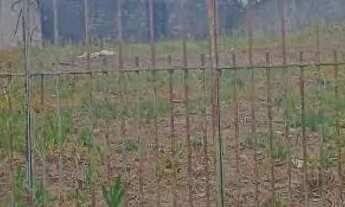 Imagem 4: Terreno 447 metros com escritura