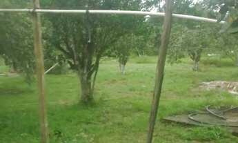 Imagem 4: Sítio 250 x 1.000 na AM 010 km 127 205.800,00