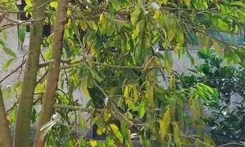 Imagem 6: Chácara pronta para lazer e moradia - São José dos Campos - SP