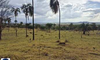 Imagem 7: Oportunidade Única! Fazendinha à Venda em Araçu/GO 21 Alqueires