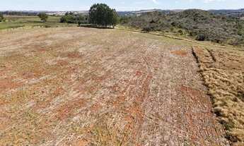Imagem 5: Fazenda para lavoura a venda em Anápolis - GO