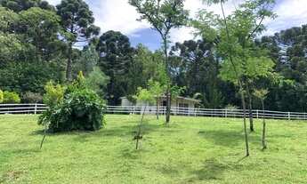 Imagem: Sitio - Bairro Tapera