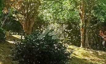 Imagem 3: Chácara - Dos Silvas - Morungaba - Morungaba