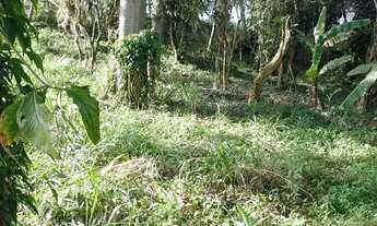 Imagem 2: REF. 294 Á venda terreno no bairro Ratones, Florianópolis/SC