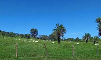 Imagem 4: Fazenda 26.8 alqueires município de Trindade-GO