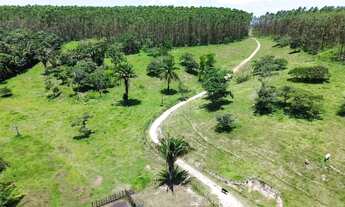 Imagem 4: Oportunidade linda fazenda em Messias