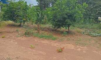 Imagem 6: Chácara em Leopoldo Bulhões, 2mil metros