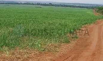 Imagem: Fazenda de 150 alqueires (360 hectares)