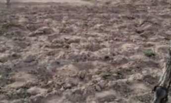 Imagem 5: Vendo 11 tarefas de terra com uma casa