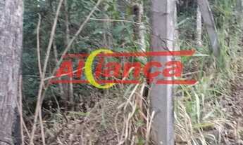 Imagem 5: TERRENO PERFEITO PRA CONSTRUIR!!!