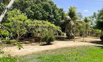 Imagem 6: Imóvel para venda com 4354 metros quadrados com 3 quartos em Vale Quem Tem - Teresina - PI