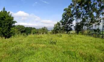 Imagem 4: Vendo lindo sítio de 20.000m² em Corumbataí/SP (apenas terra) com riacho nos fundos