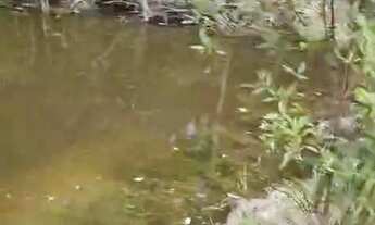 Imagem 6: Área Rural para formação de chácara