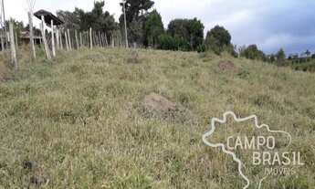 Imagem 2: Área Rural de 3 alqueires na Zona Norte!!! Aceita permuta!