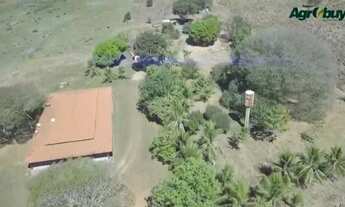 Imagem 6: Fazenda Localizada no Município de Nova Crixas