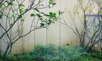 Imagem 2: Casa para venda possui 728 metros quadrados com 4 quartos em Vila Nova Caledônia - São Pau