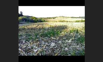 Imagem 7: CHÁCARA EM IBIPORÃ-PR - 35.319 mts2