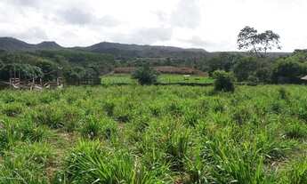 Imagem 3: Fazenda 88 tarefas (P R O M O Ç Ã O