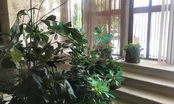 Imagem 7: Cobertura duplex