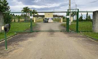 Imagem 3: Terreno à venda, 4289 m² por R$ 500.000,00 - Menino Deus - Quatro Barras/PR