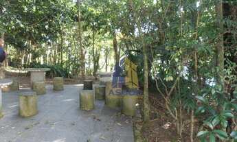 Imagem: Amplo apartamento bem localizado próximo