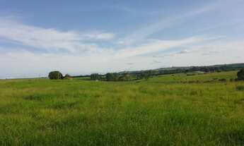Imagem 5: Fazenda/Sítio/Chácara para venda tem 400000 metros quadrados em Centro - Itapetininga - SP