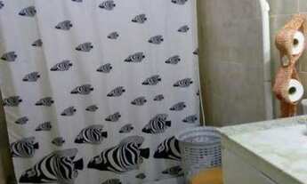 Imagem 5: Excelente propriedade em Pessegueiros