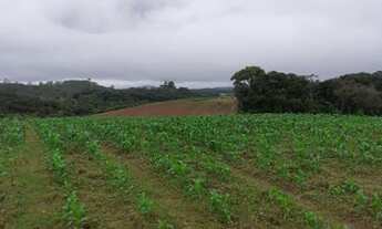 Imagem 7: Fazenda/Sítio/Chácara para venda com 640000 metros quadrados em Biritiba Ussu - Mogi das C